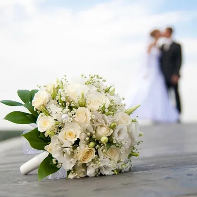 Как снимать свадьбу — важные советы, которые пригодятся фотографу | Статьи  | Фото, видео, оптика | Фотосклад Эксперт