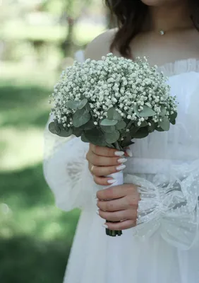 Свадебный букет | Brides flowers bouquet, White bridal bouquet, Small  wedding bouquets