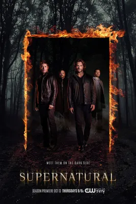 Плакат \"Сверхъестественное, Винчестеры и змей на руке, Supernatural\",  60×41см (ID#772593338), цена: 190 ₴, купить на Prom.ua