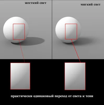 8 советов, как «читать» схемы света в фотографии