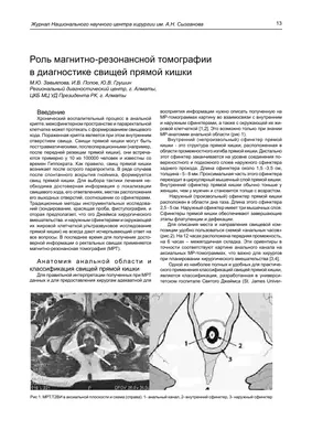 Роль магнитно-резонансной томографии в диагностике свищей прямой кишки –  тема научной статьи по клинической медицине читайте бесплатно текст  научно-исследовательской работы в электронной библиотеке КиберЛенинка