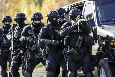 Swat Team Pictures | Download Free Images on Unsplash