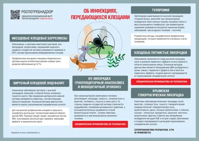 Управление образования Ирбейского района - Информационные материалы по  защите от гриппа, коронавируса и ОРВИ