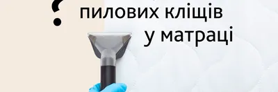 Укус клеща: симптомы, как выглядит, первая помощь при укусе паразита