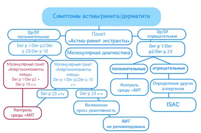 Укусы постельных клещей это реакция на фекали клеща, фото и симптомы