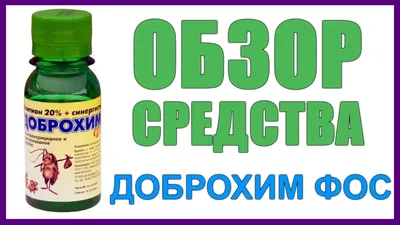 Аллергия на солнце: как проявляется, чем лечить и как защититься детям и  взрослым - Чемпионат