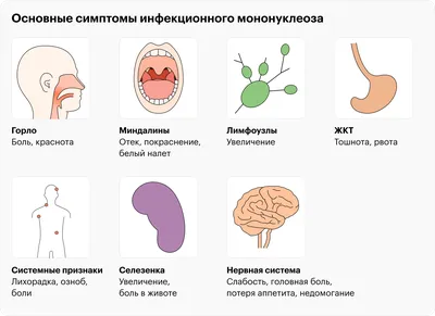 Инфекционный мононуклеоз: симптомы, лечение, причины и диагностика