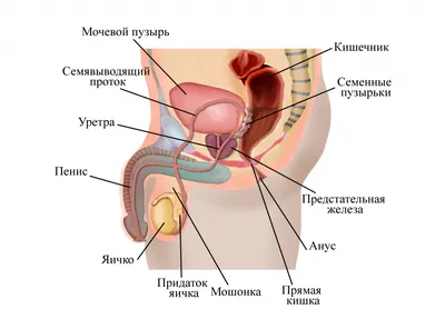 Реальные признаки рака молочной железы