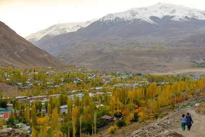 Торгово-промышленная палата Республики Таджикистан | Dushanbe