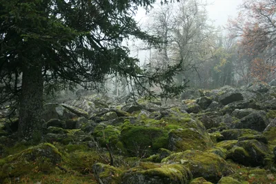 Церковь Андрея Критского, Тайга (Тайга, город), фотография. архивная  фотография 1899 год