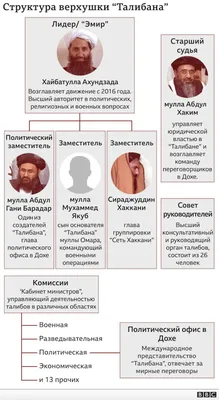 Победу талибам принесла дипломатия». Как пал Кабул? | В мире | Политика |  Аргументы и Факты