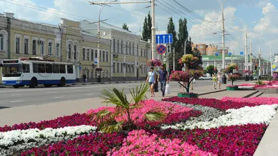 Одну из улиц Тамбова назовут в честь героя, погибшего в ходе СВУ - РИА  Новости, 05.09.2022