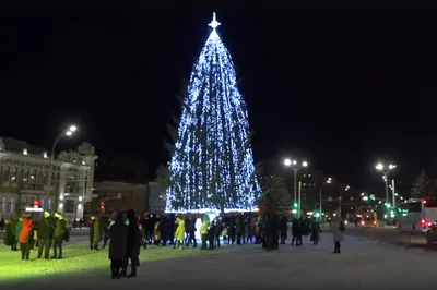 В центре Тамбова установили композицию волков из стали | ИА  “ОнлайнТамбов.ру”