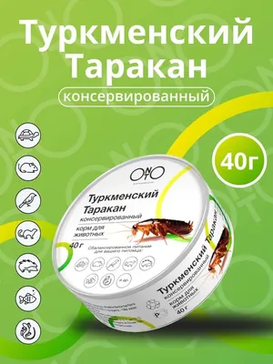 таракан стоковое изображение. изображение насчитывающей гимна - 46419521