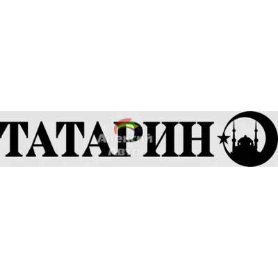 Татарин (instrumental) | AIGEL