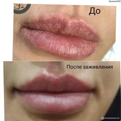 Татуаж губ с растушевкой фото до и после цена на естественный татуаж губ