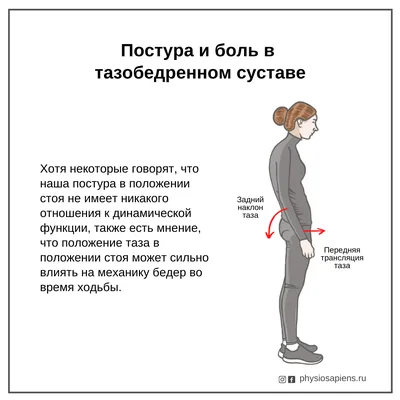 Тазобедренный Сустав — стоковые фотографии и другие картинки 2015 - 2015,  Анатомия, Бедренная кость - iStock