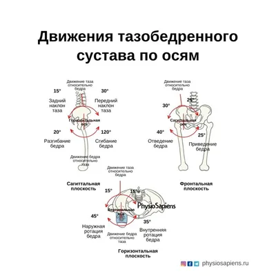 ✓ ТЕЙПИРОВАНИЕ ПРИ БОЛИ В ТАЗОБЕДРЕННОМ СУСТАВЕ | Валентин Гайт | Учебный  центр BBALANCE - YouTube