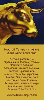 Кружка Grand Cadeau \"знак зодиака Телец\", 300 мл - купить по доступным  ценам в интернет-магазине OZON (270893592)