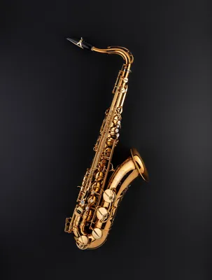 Vibrato Saxophone: The World's First Polycarbonate Tenor Saxophone