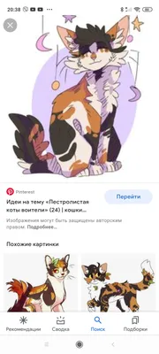 Ответы Mail.ru: Кто такая Тереза Фидальго?