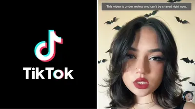 TikTok Embed – Documentation – WordPress.org