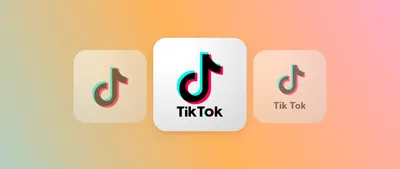 What Is TikTok Live? | Bark