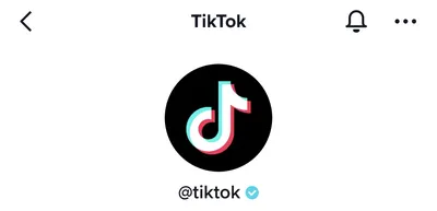 Federal judge blocks Montana's TikTok ban, which would have been the first  of its kind