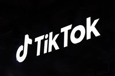 How TikTok Reads Your Mind - The New York Times