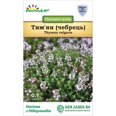 Тимьян ползучий (Thymus serpyllum `Albus`) - Тимьян ползучий - Многолетники  - Каталог - LESKOVO-PITOMNIK.ru