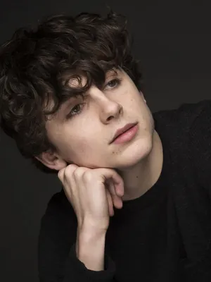 Тимоти Шаламе (Timothee Chalamet) - новости, фото, биография, обои