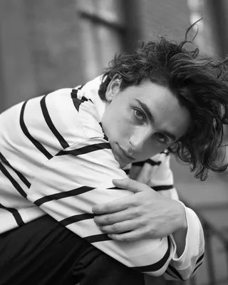 Тимоти Шаламе (Timothée Chalamet, Timothée Hal Chalamet) - актёр -  фотографии - голливудские актёры - Кино-Театр.Ру