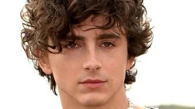 Тимоти Шаламе (Timothée Chalamet, Timothée Hal Chalamet) - актёр -  фотографии - голливудские актёры - Кино-Театр.Ру