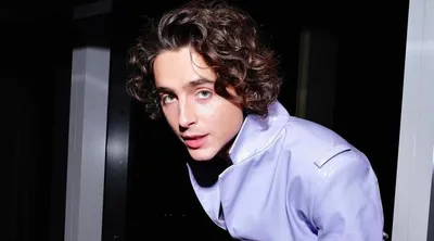 Wallpapers, обои на телефон, Тимоти Шаламе, phone wallpaper, Timothy  Chalamet | Дюна, Милые парни, Гламурная фотография