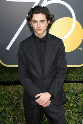 Ростовая фигура Тимоти Шаламе (Timothée Chalamet) вид 15 (520х1800 мм) -  купить по выгодной цене | Магазин шаблонов Принт100