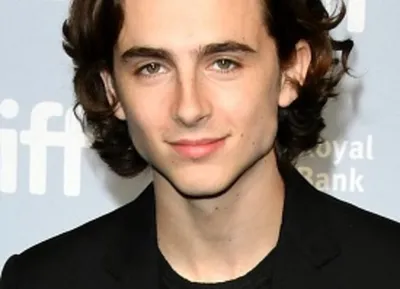 Тимоти Шаламе (Timothée Chalamet, Timothée Hal Chalamet) - актёр -  фотографии - голливудские актёры - Кино-Театр.Ру