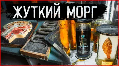 Жуткий заброшенный морг | Нашли нечто страшное на заброшке | Заброшенная  больница - YouTube