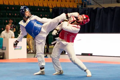 12-ый Международный турнир по тхэквондо (ВТФ) «Russian Open» — «Комета»