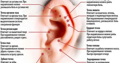 Реабилитолог-массажист Марина Кострова - На нашем теле множество точек-проекций.  Запомнить их все почти невозможно. Я отобрала для примера самые понятные и  доступные точки, работая с которыми, можно снять головную или другую боль,