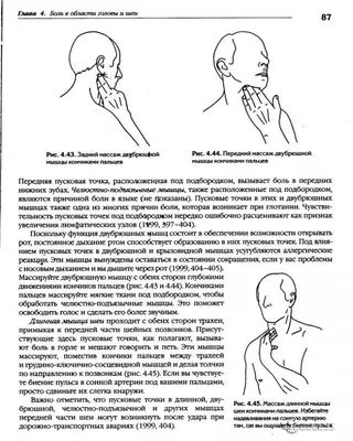 Забудьте о головной боли, делая массаж этой точки каждый день! | Let's sit  and think | Дзен