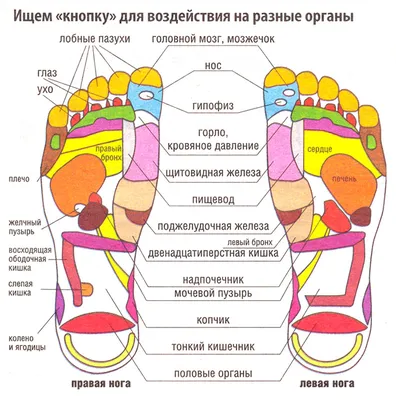 Головная боль при остеохондрозе | Клиника доктора Шишонина