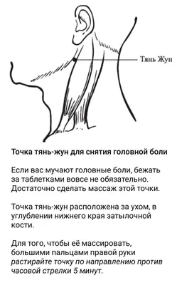 Самомассаж точек акупунктуры при головных болях - Фармация и Медицина - ФМ  Life