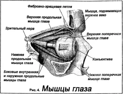 Baraka АктФаст от головной боли, ролик, 10 мл