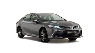 Toyota Corolla (2019): 3 Varianten mit Benziner und Hybrid | AUTO MOTOR UND  SPORT