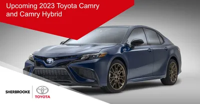 Toyota Vehicles: Reviews, Pricing, and Specs