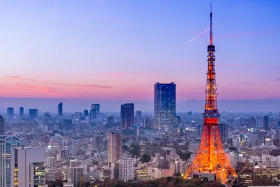 Japan: Labyrinth Tokio – die unfassbare Stadt - WELT