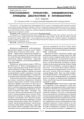 Бессимптомный токсоплазмоз вовсе не так безобиден: исследование - Телеканал  Доктор