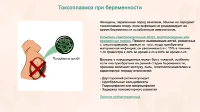 Запись на лечение токсоплазмоза | Цены на лечение токсоплазмоза в клинике в  Екатеринбурге