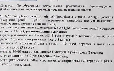 Запись на лечение токсоплазмоза | Цены на лечение токсоплазмоза в клинике в  Екатеринбурге