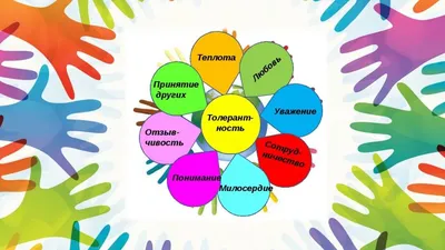 Толерантность в школе - что это за зверь? | Записки строгого учителя | Дзен